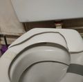 HTSD - Broken toilet seat.jpeg