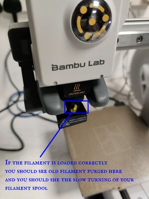 Check filament is correctly loaded.