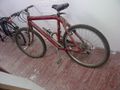 HS bike bit - red Grisley bike.jpg