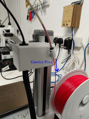 Gently remove the filament from the filament guide tube.